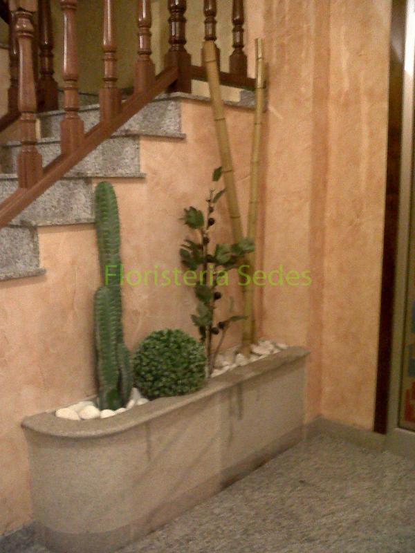 Decoración portal con bambú y cactus. - Imagen 5