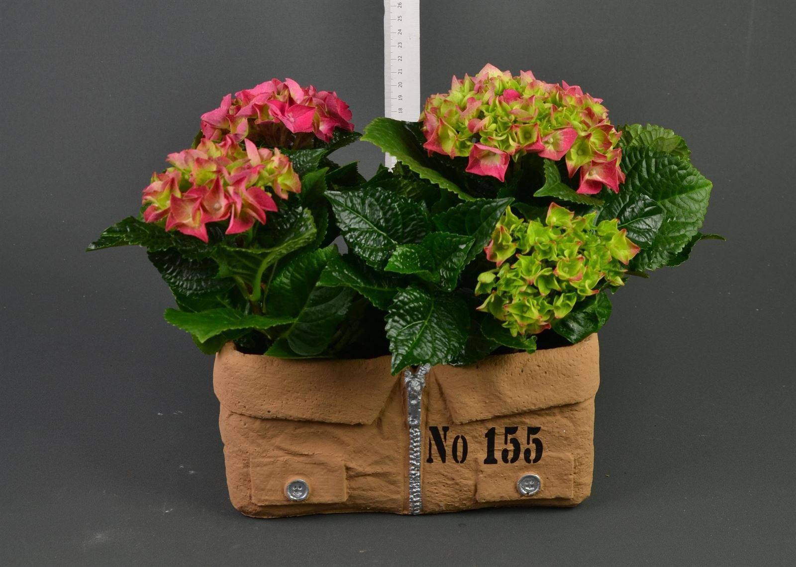 Caja cerámica con hortensias. - Imagen 1