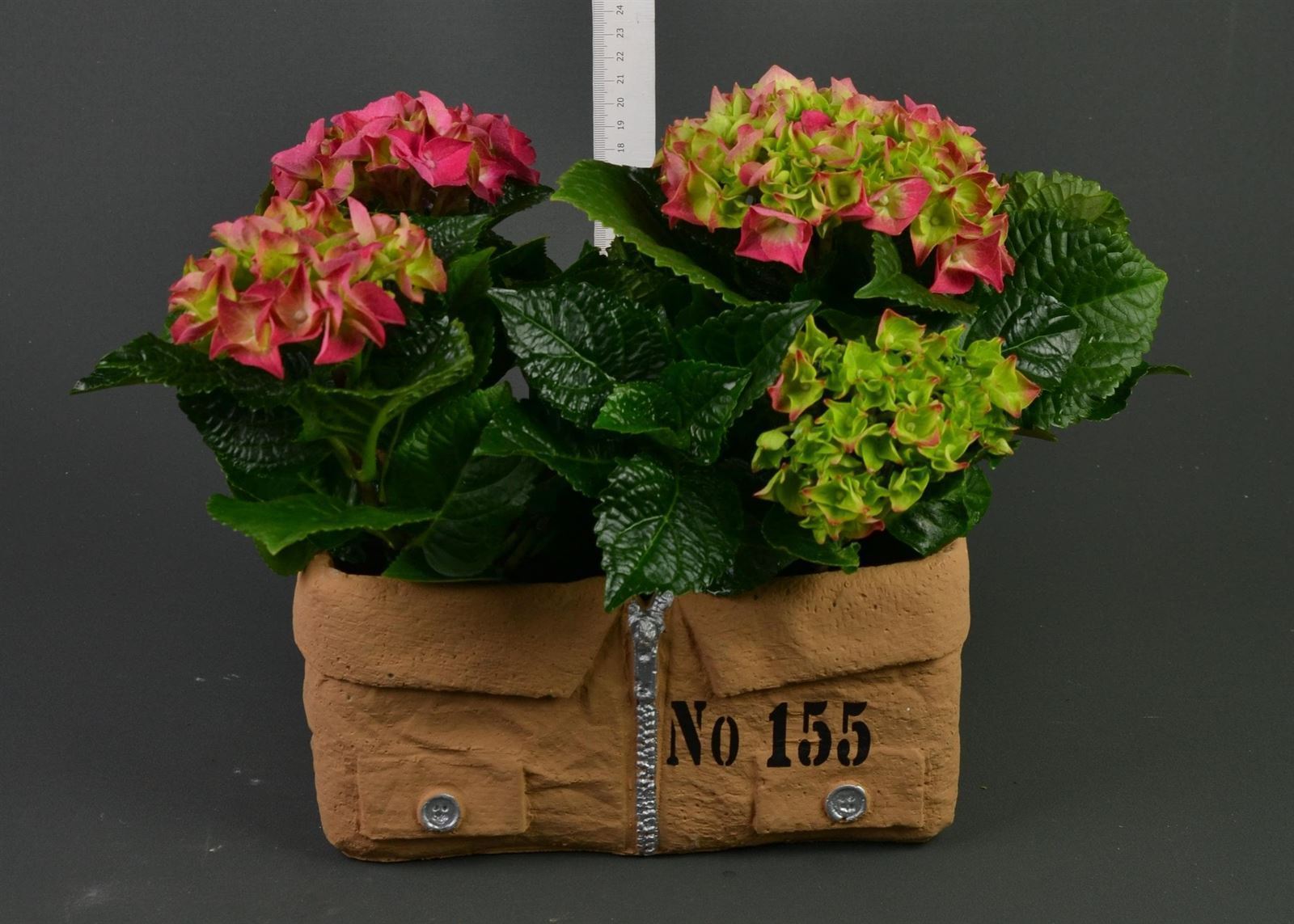 Caja cerámica con hortensias. - Imagen 2