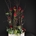 Composición de 12 rosas en base ceramica. - Imagen 1