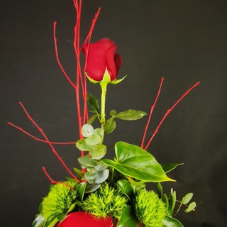 Composición una rosa. - Imagen 1