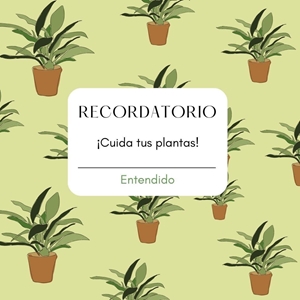 Cuidados de las plantas