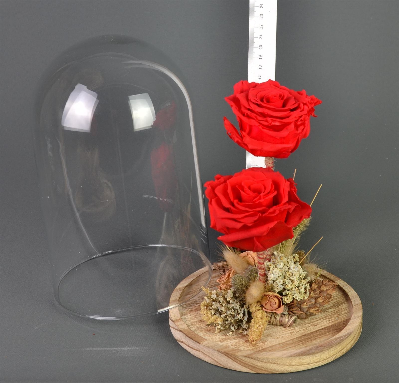 Cupula de cristal, con dos rosas preservadas. - Imagen 1