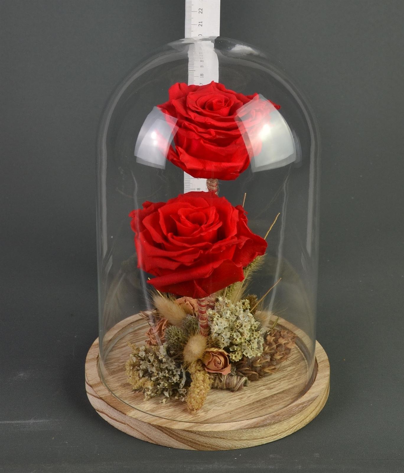 Cupula de cristal, con dos rosas preservadas.