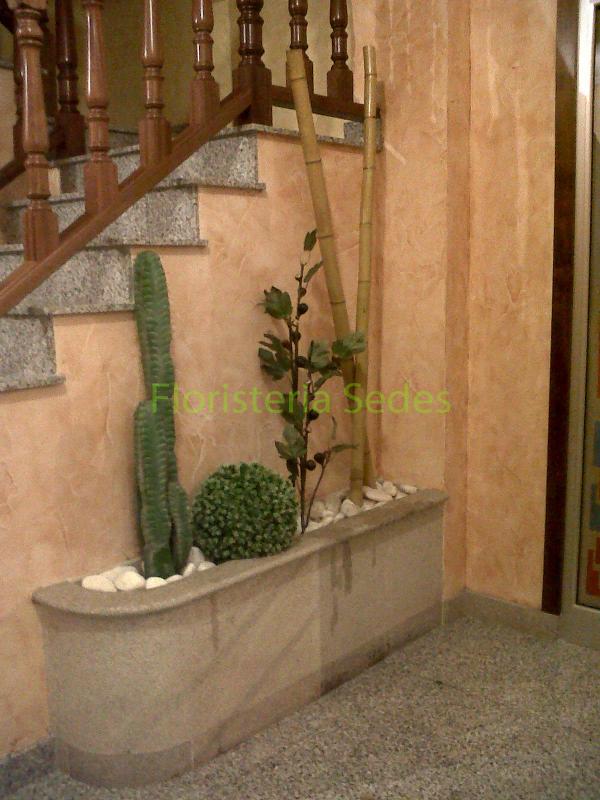Decoración portal con bambú y cactus. - Imagen 1