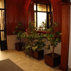 Decoración portal con jardineras inox. - Imagen 2