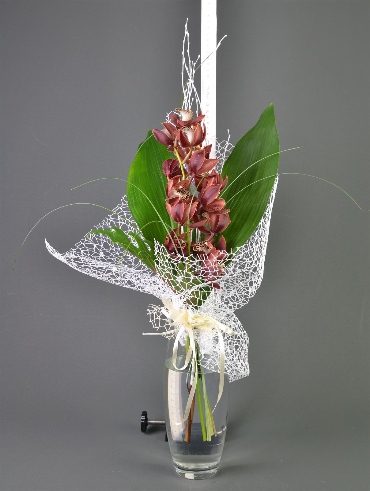 Mini cymbidium. - Imagen 1