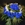 Ramo de 60 rosas azules - Imagen 2