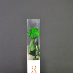 Rosa eterna verde pequeña Real cimex - Imagen 1