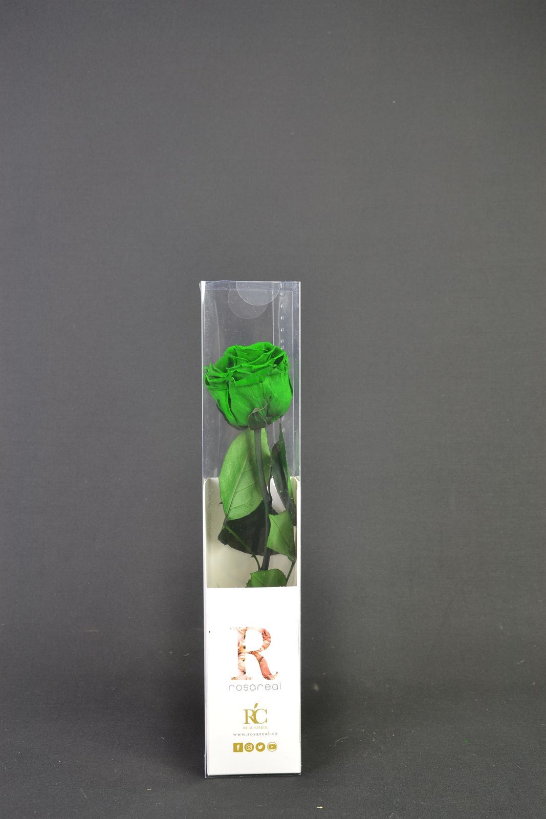 Rosa eterna verde pequeña. - Imagen 1
