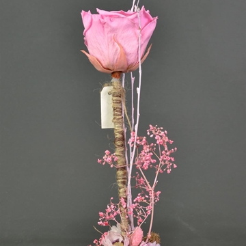 Rosa preservada color rosa. - Imagen 1