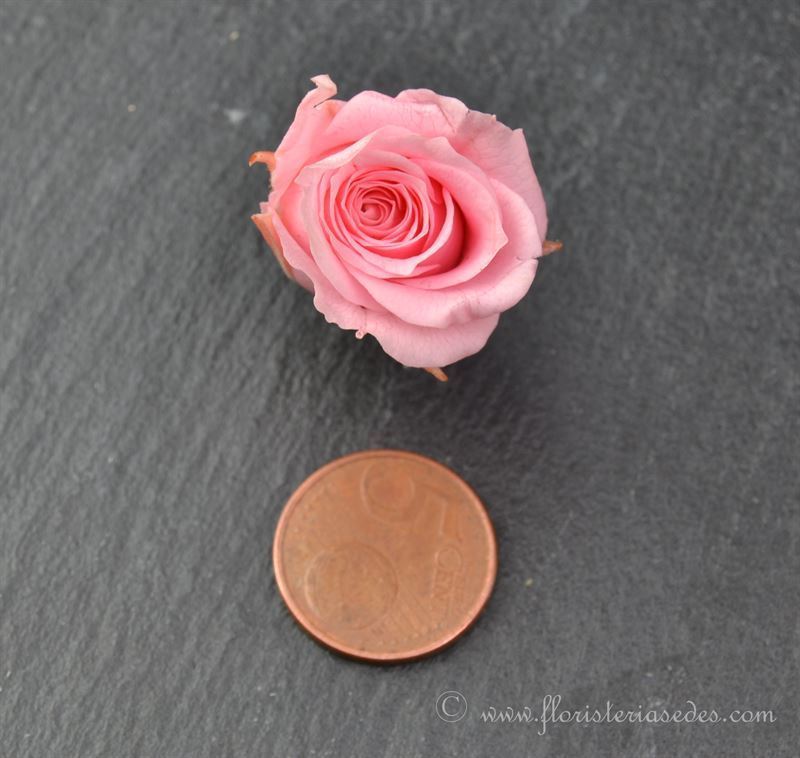Rosa preservada para el pelo en rosa. - Imagen 3